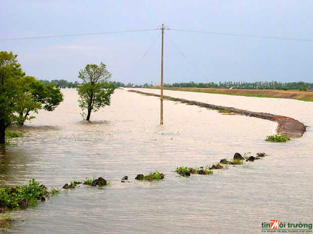 Ninh[-]Thuận:[-]Chủ[-]động[-]phòng[-]chống[-]sạt[-]lở[-]đê[-]biển[-]trong[-]mùa[-]mưa[-]bão